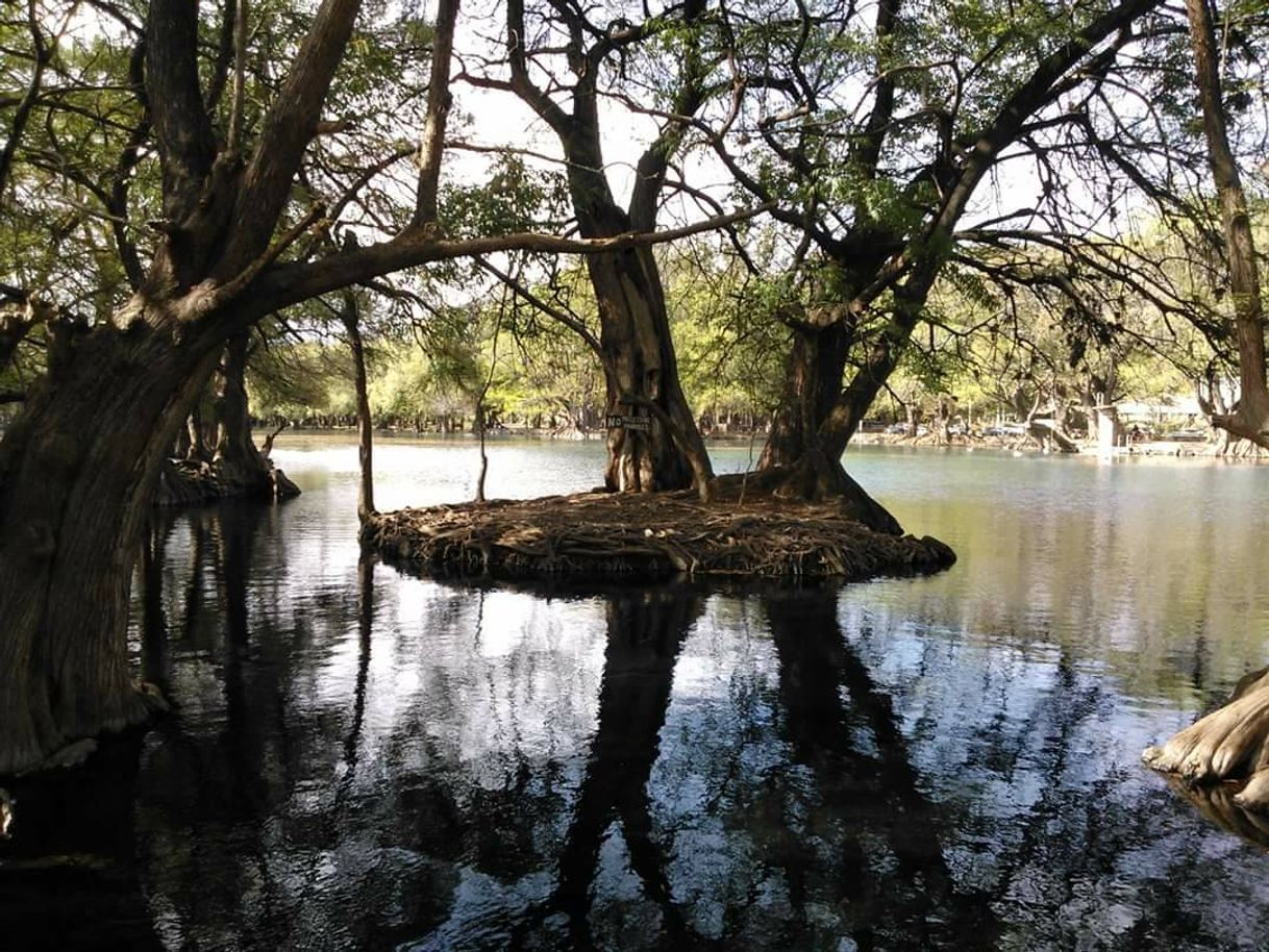Place Lago de Camécuaro