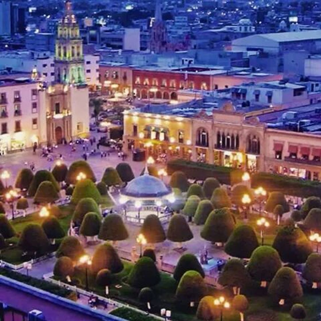 Place Centro De Leon Gto.