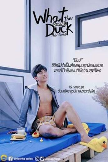 What the Duck: El amor de aterrizaje