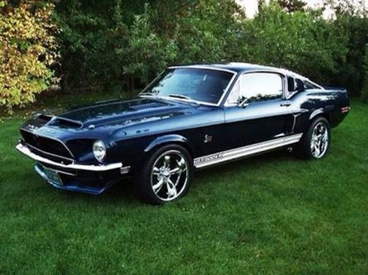 Mustang 🐎 