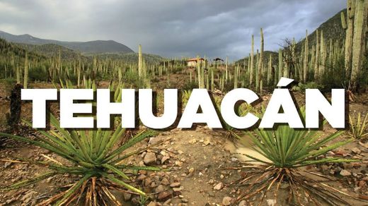 Tehuacan