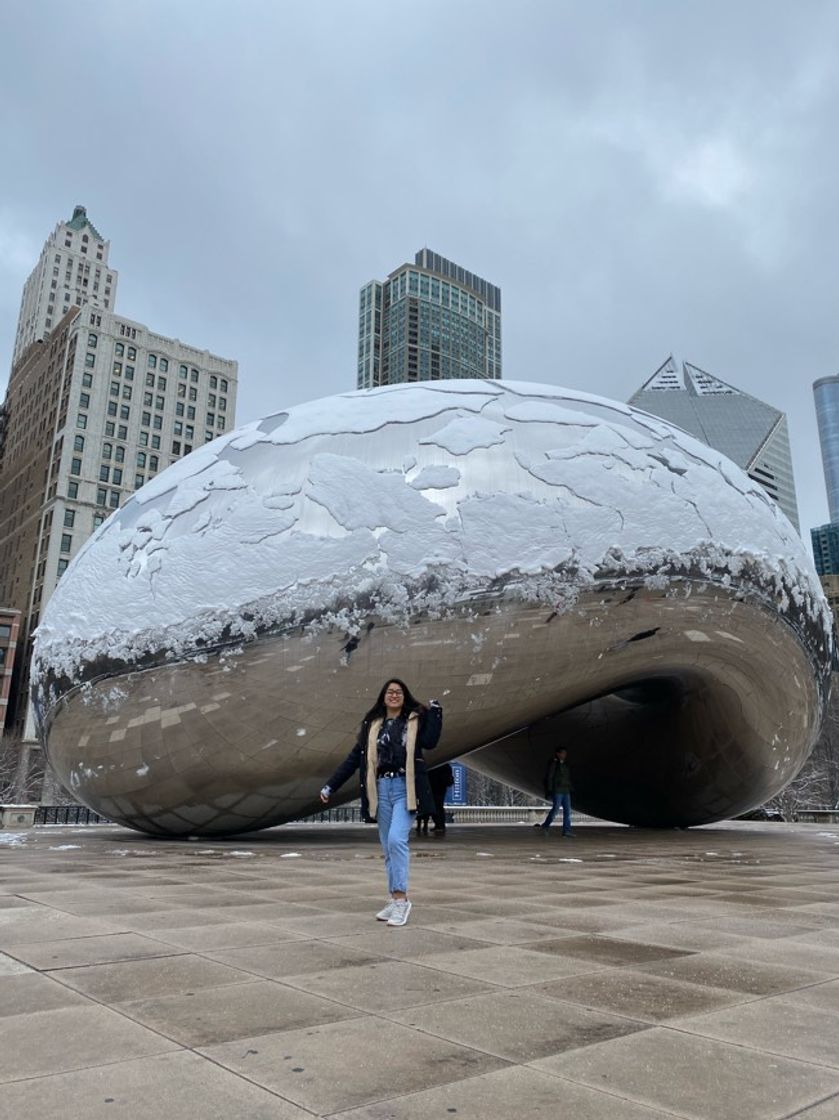 Place The Bean