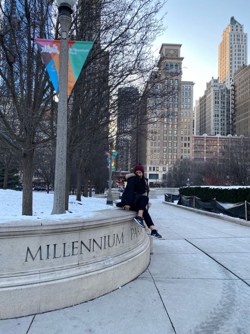 Lugar Millenium Park