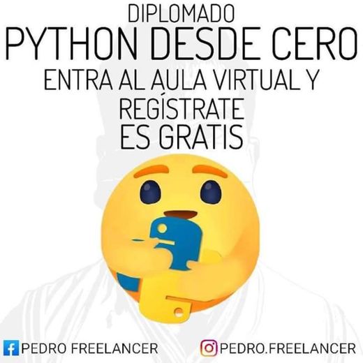 Pedro Freelancer - Cursos Seminarios y Trabajos