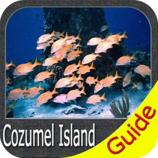 Cozumel Island GPS Navigator