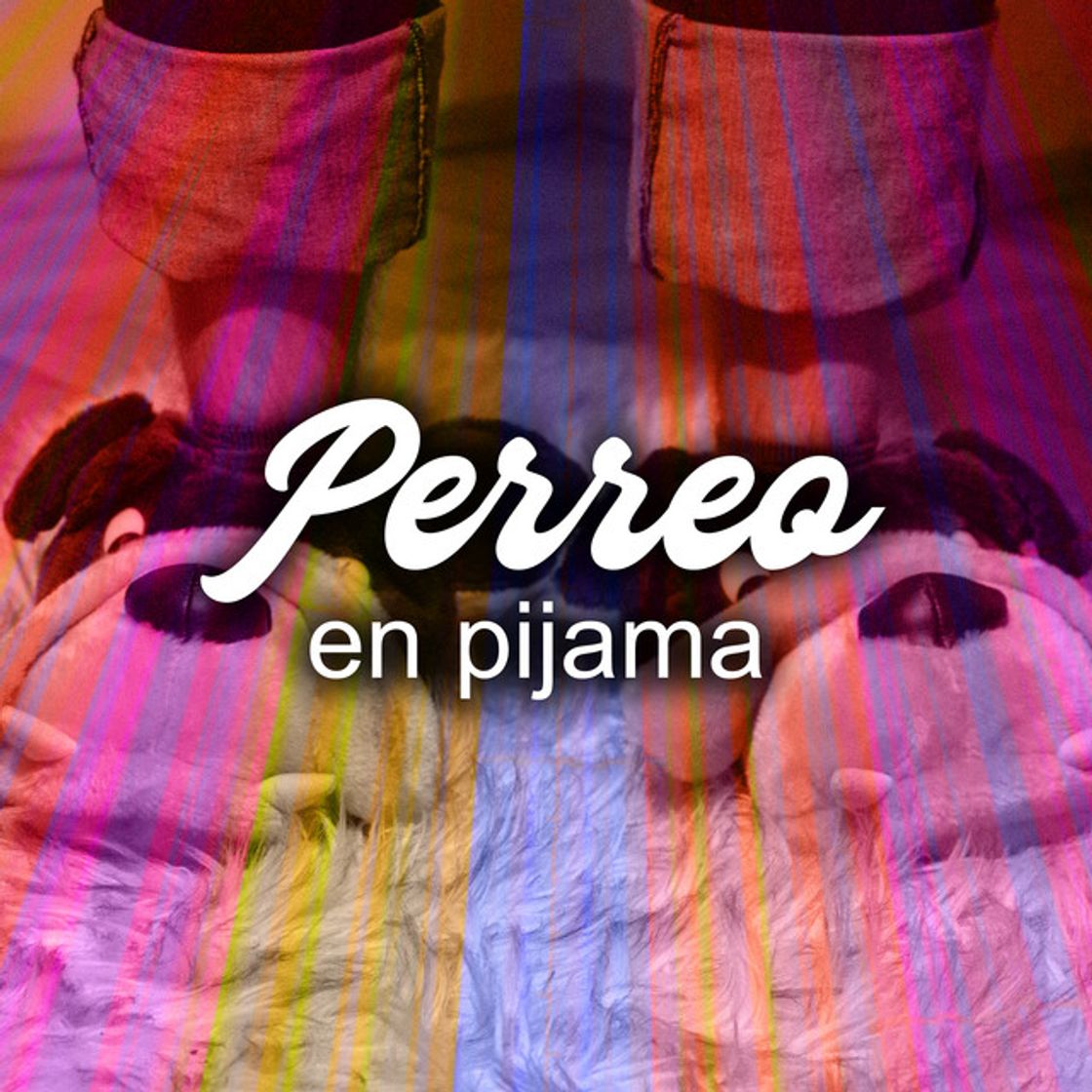 Canción BICHOTA