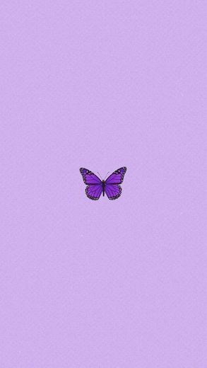 Wallpaper Borboleta 💕