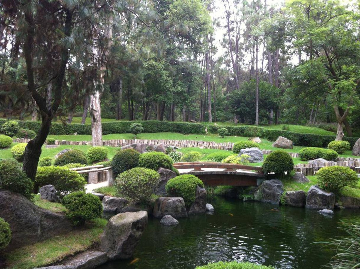 Lugar Jardin Japones Colomos