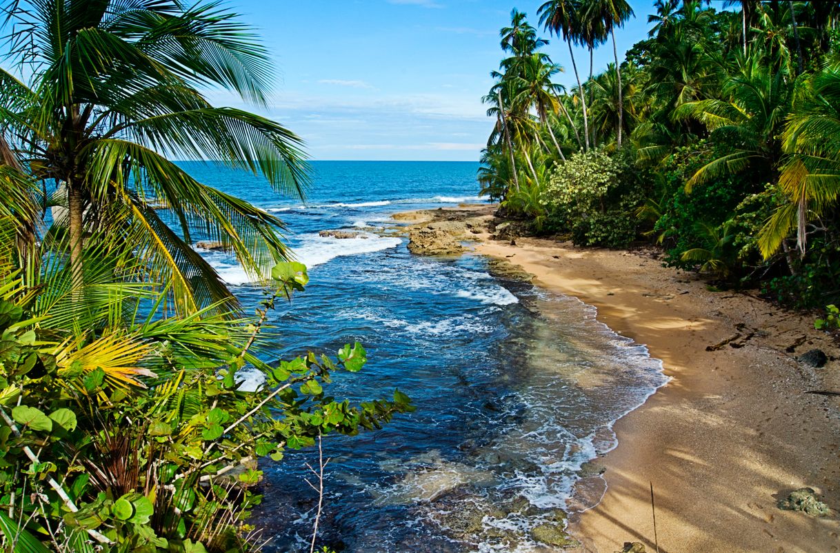 Place Playa Manzanillo