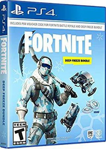 Warner Bros Fortnite: Deep Freeze Bundle, PS4 vídeo - Juego 