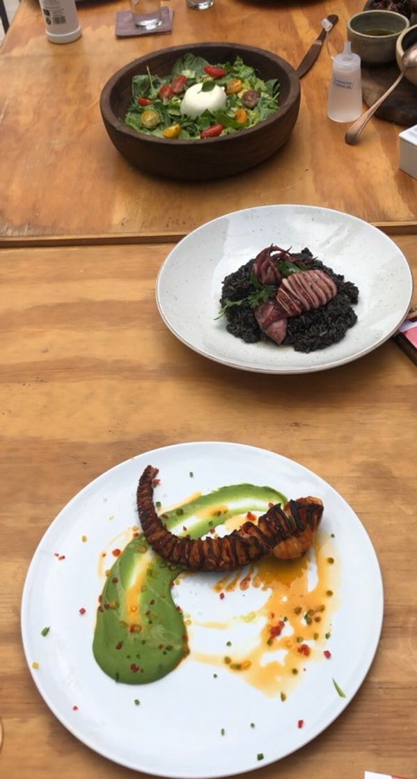 Place TABOO TULUM