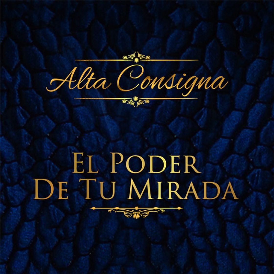 Canción El Poder de Tu Mirada