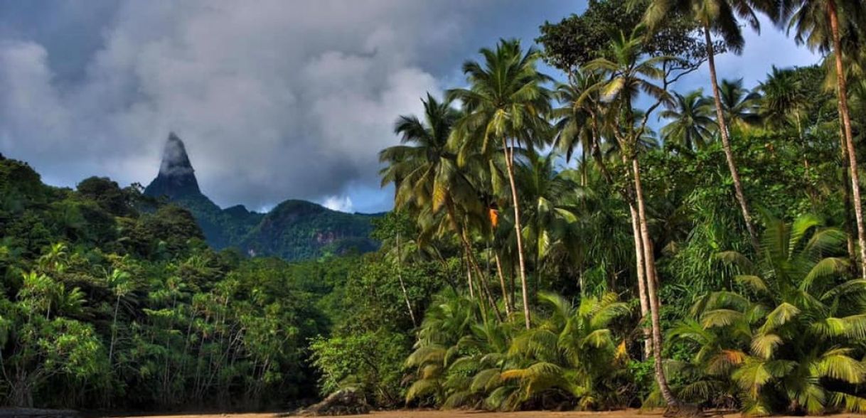 Fashion São  Tomé e Príncipe 