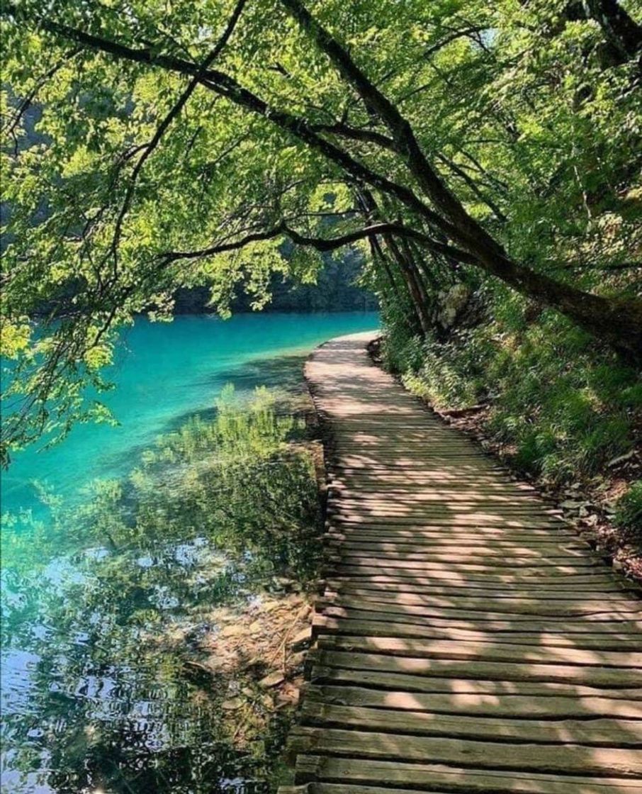 Place Parque Nacional de los Lagos de Plitvice