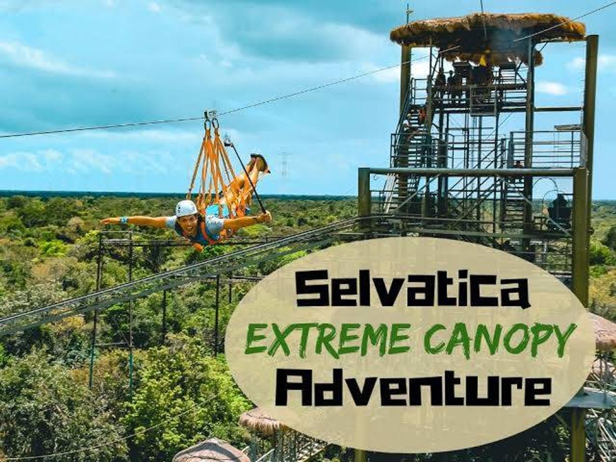 Lugar Selvatica - The Adventure Tribe