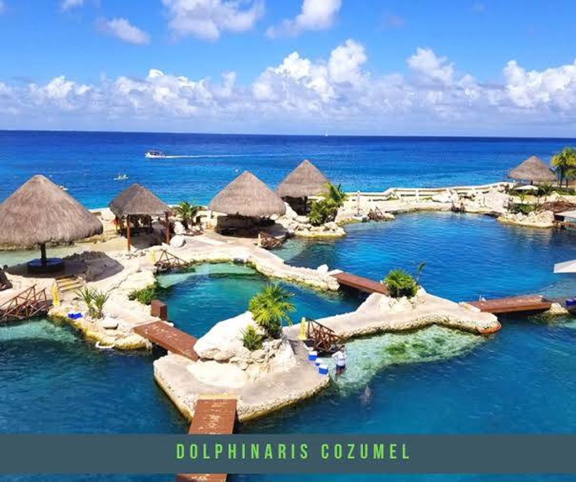 Places Dolphinaris Cozumel