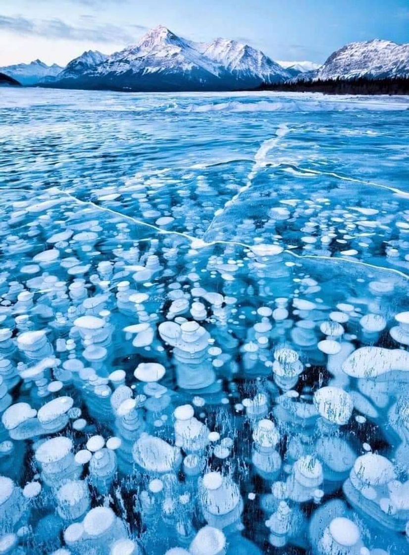 Lugar Lago Abraham