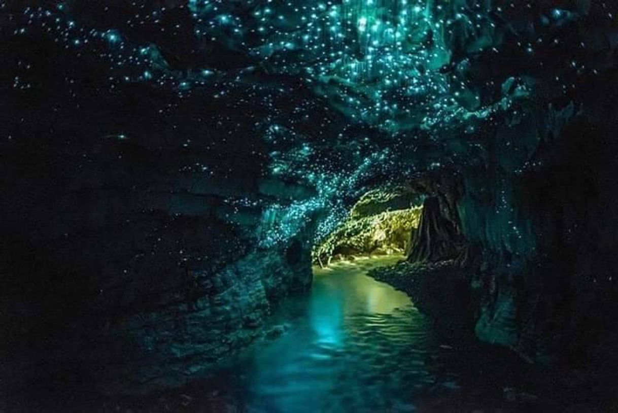 Lugar Glowworms