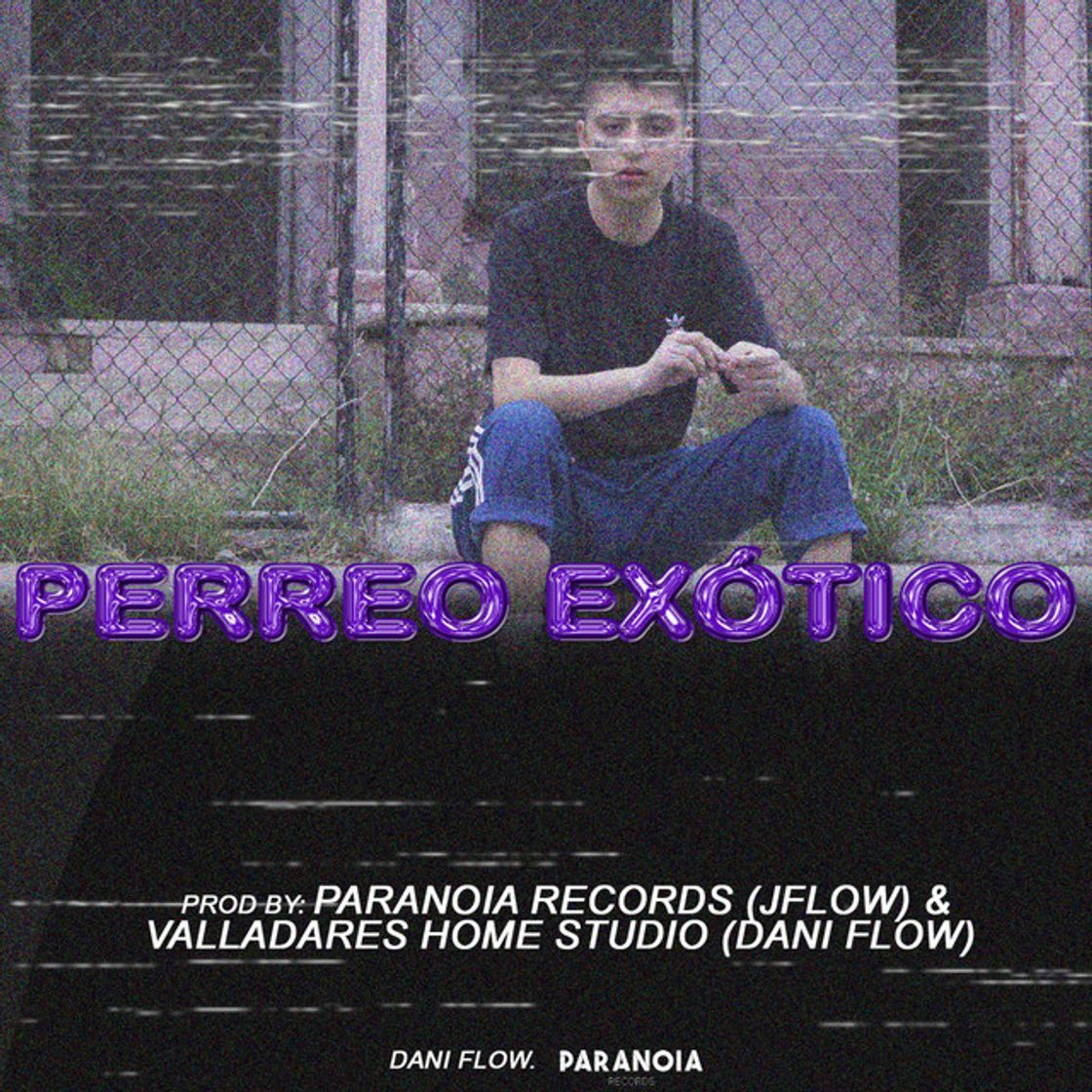 Music Perreo Exótico