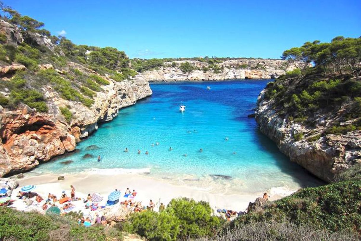 Place Cala Mago