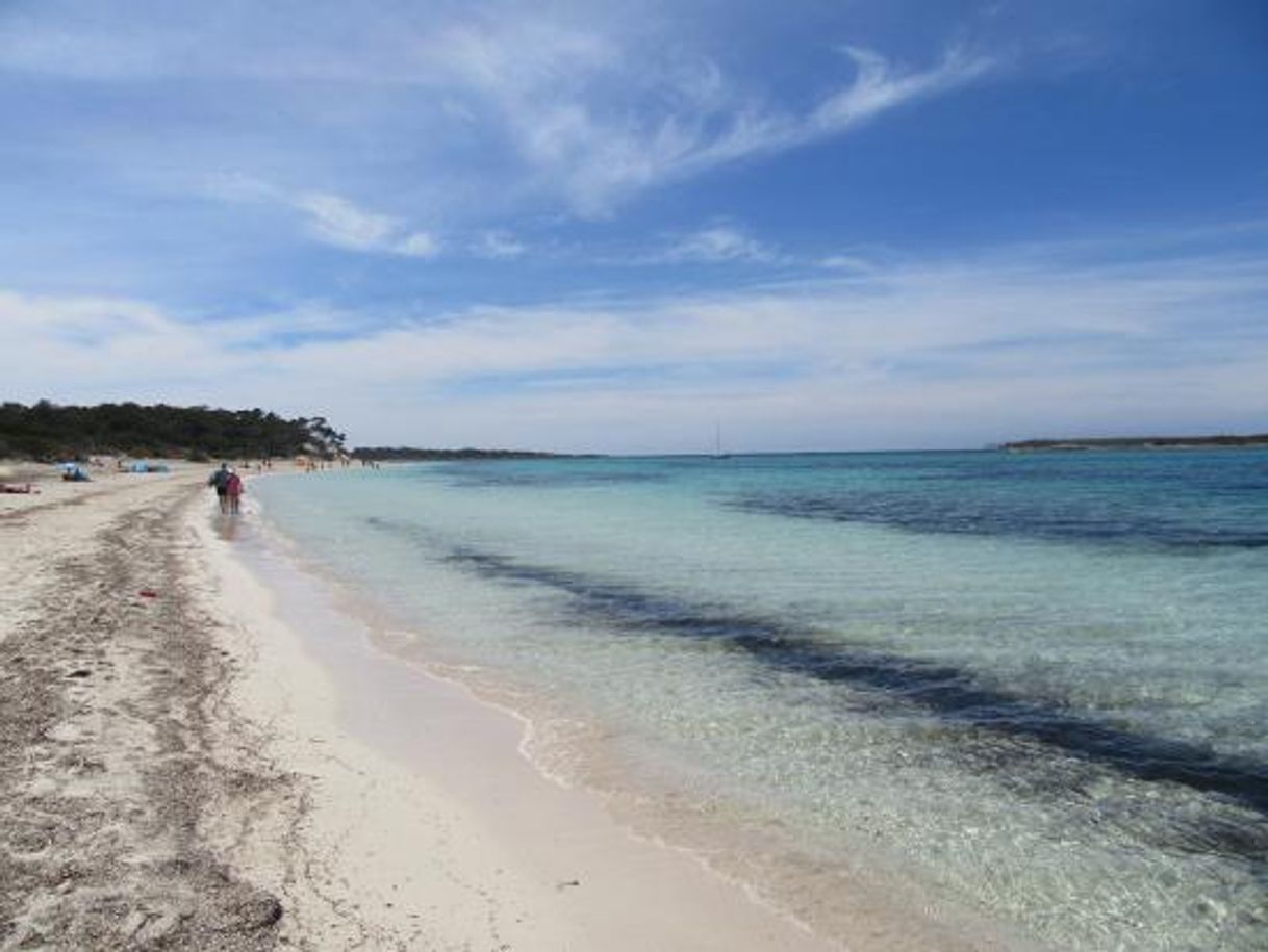 Lugar Platja d'es Carbó