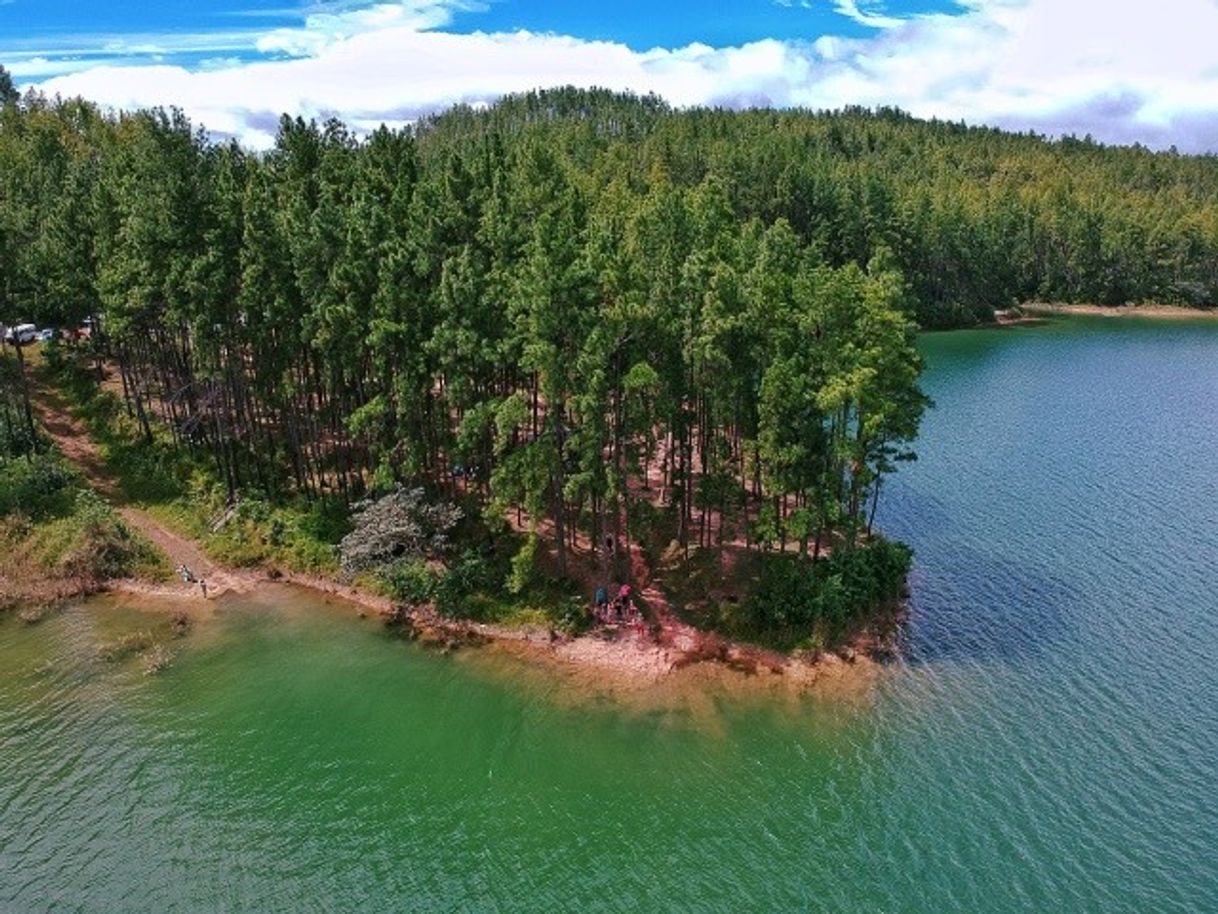 Lugar La Yeguada - Reserva Forestal