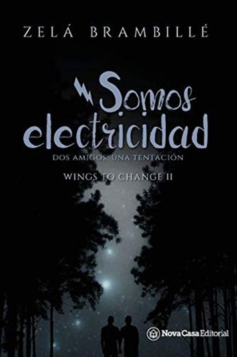 Somos electricidad