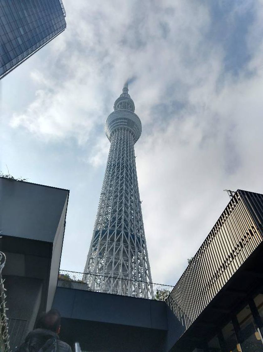 Place Tokyo Tower