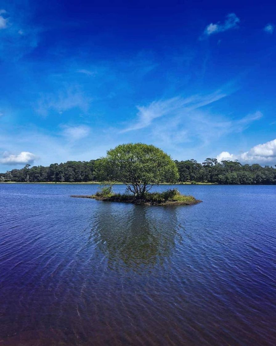 Lugar Presa Santa Ana Tzacuala