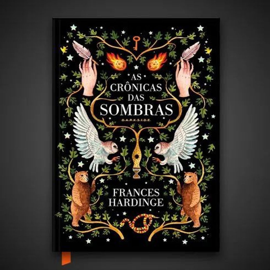 Libros As crônicas das sombras