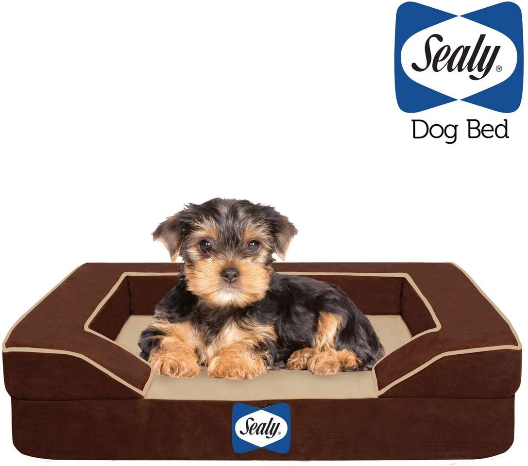 Social Sealy Dog Bed Lux Pet Dog Bed, Quad Layer ... - Amazon.com