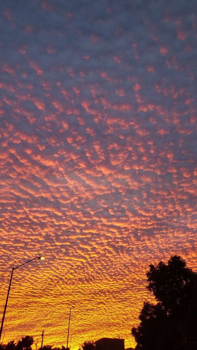 Moda Céu quente 