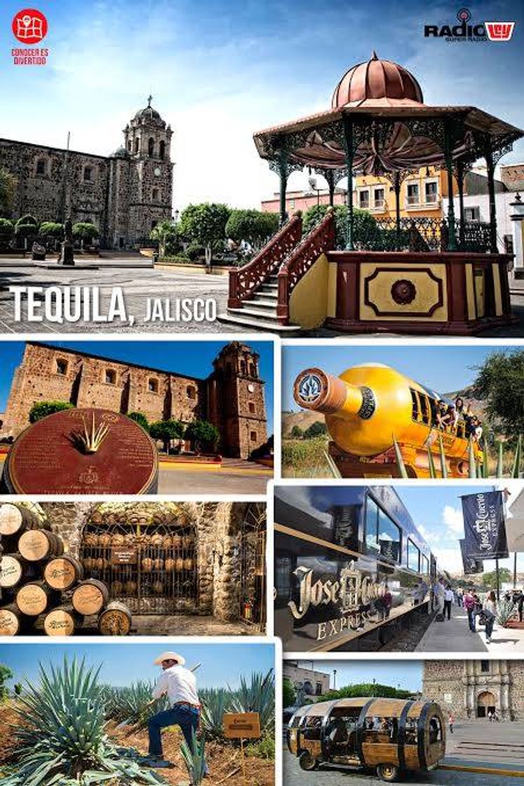 Lugar Tequila