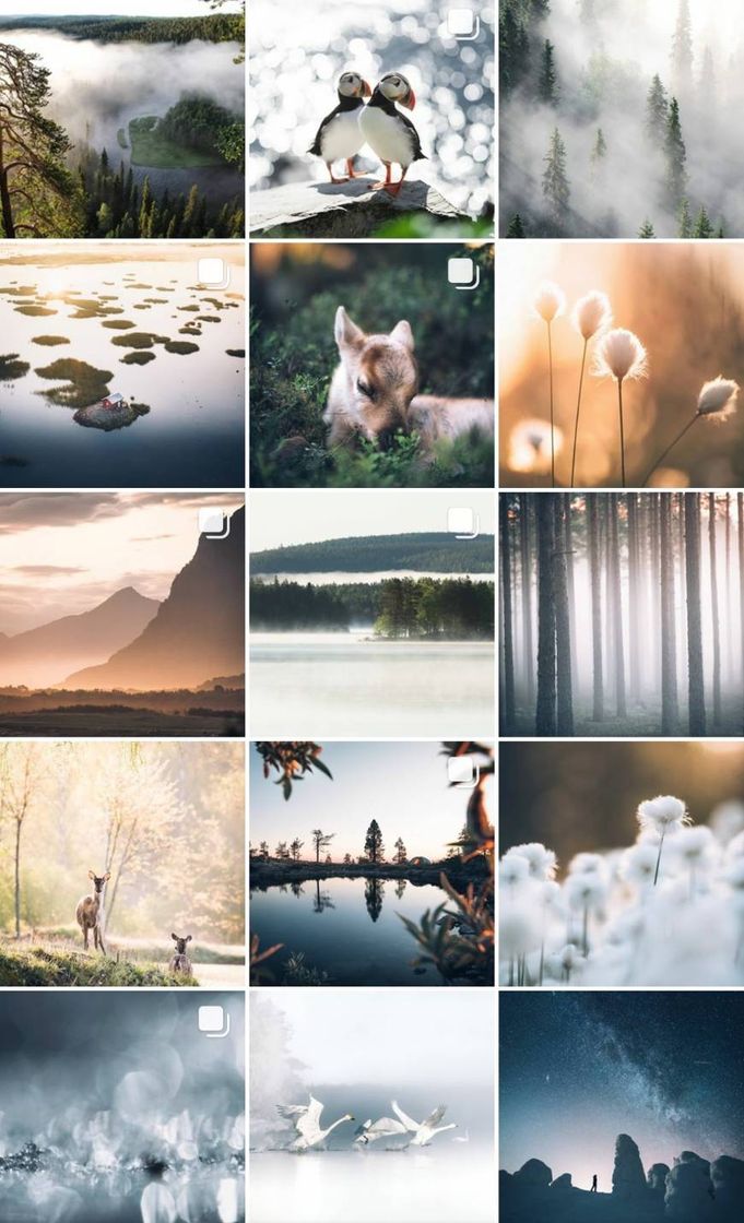 Moda Unas fotos de la naturaleza y de Finlandia que 🤯