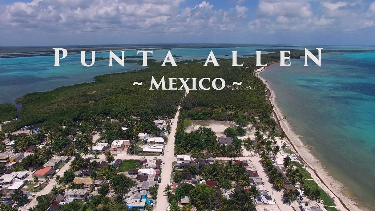 Place Punta Allen