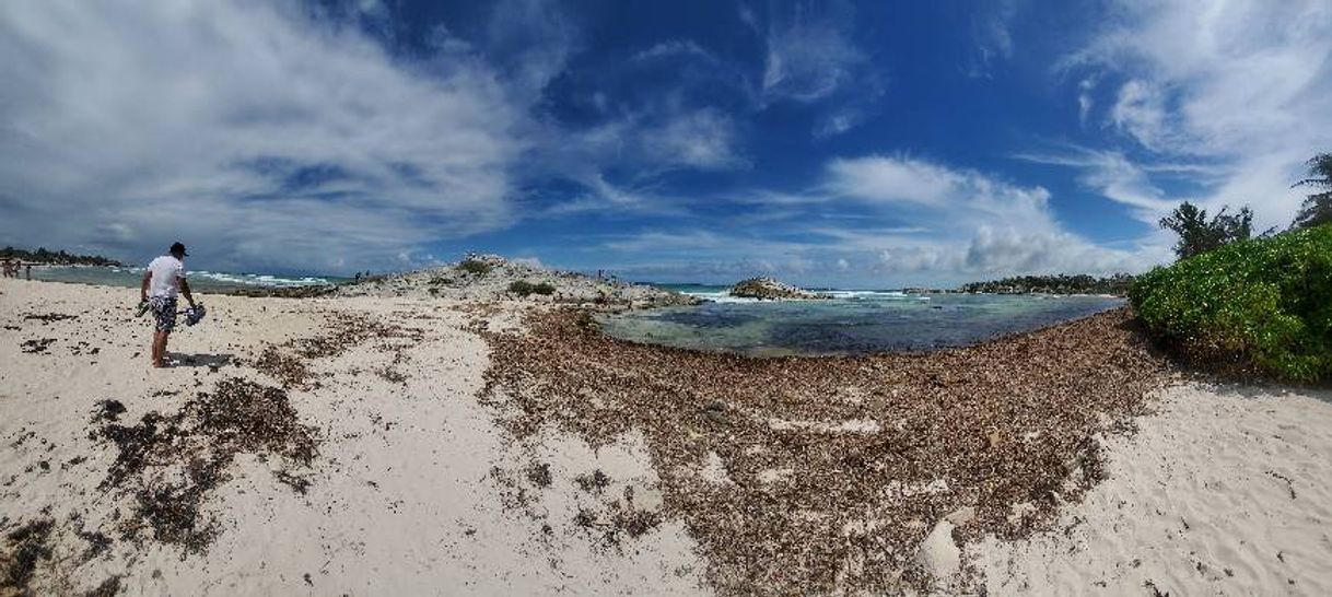 Place Playa,Mirador. Tulum.