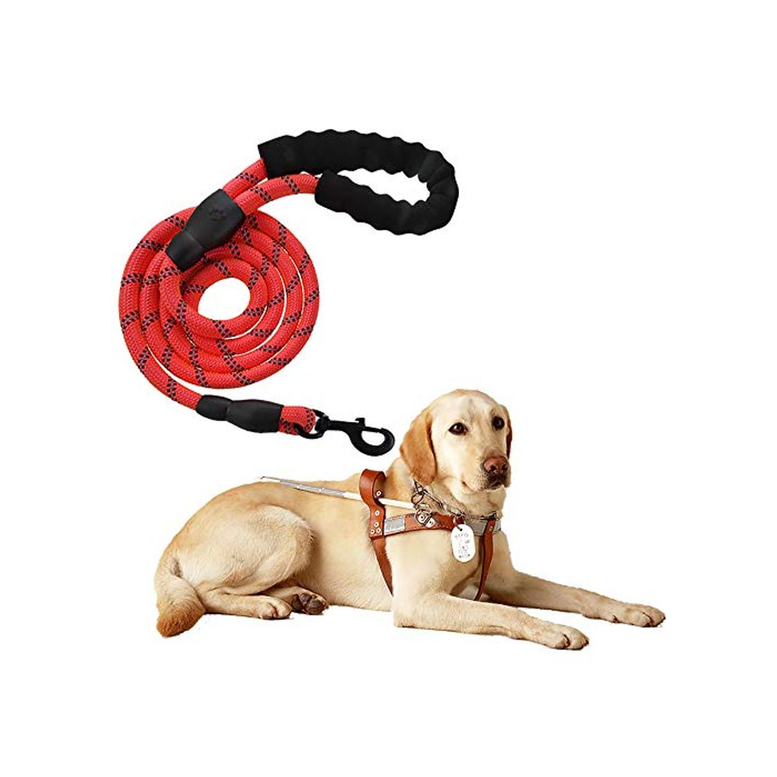 Social Litthing Correas para Perros Nylon con Mango Acolchado Ajustable Negro Sólido Reflectante