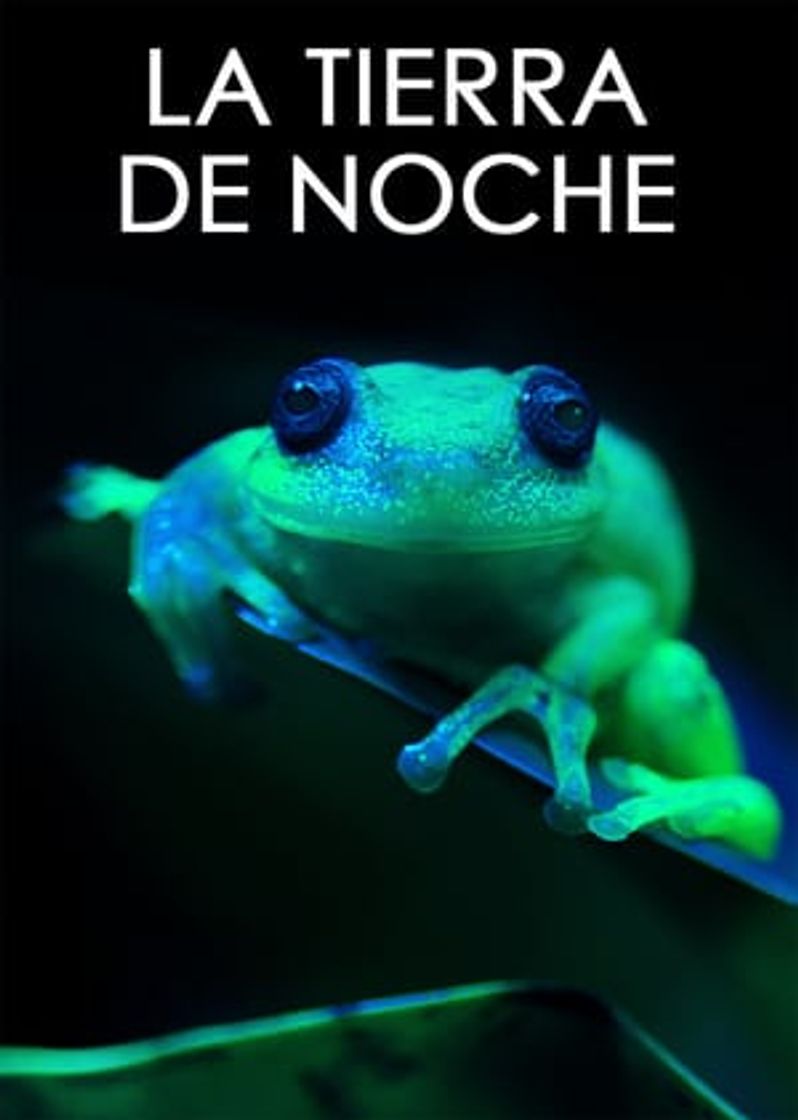 Serie La Tierra de noche