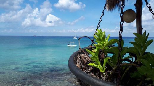 La isla de Cozumel