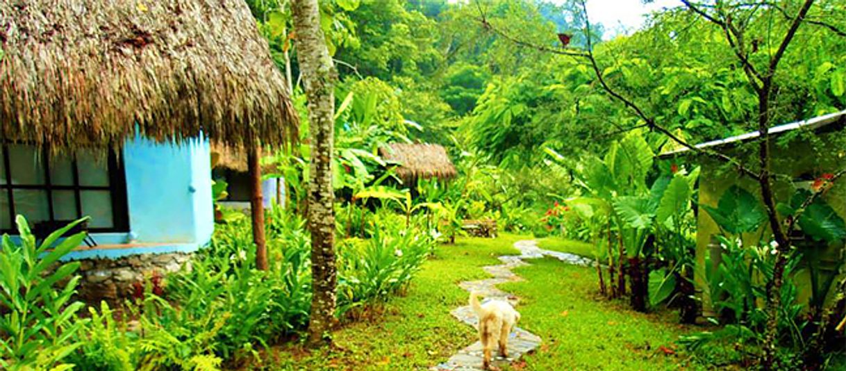 Places Casa Caracol