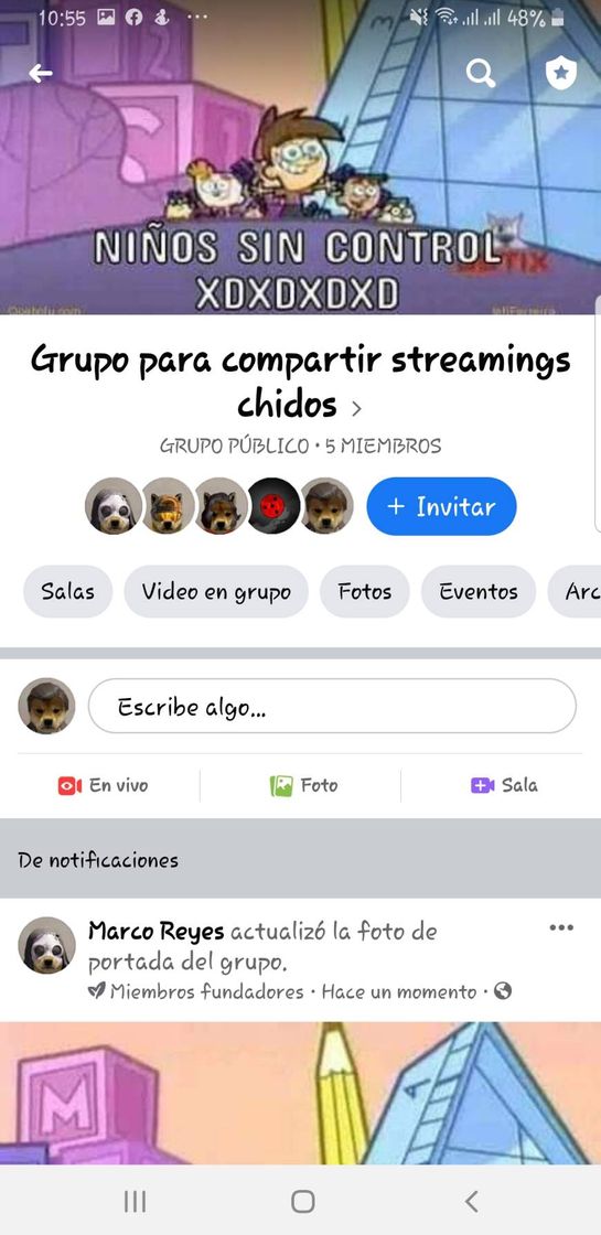 Fashion Grupo para compartir streamers