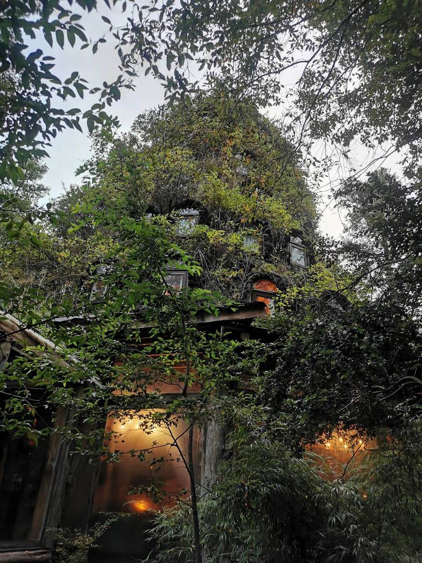 Lugar Montaña Mágica Lodge