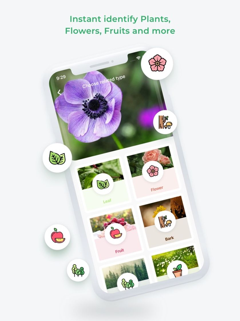 Apps Plant Identification ++