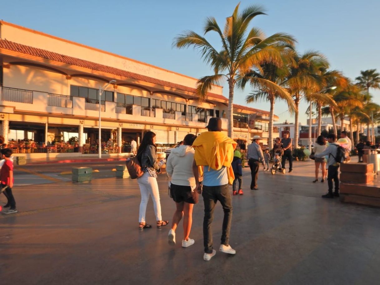 Lugar Malecon La Paz, B.C.S