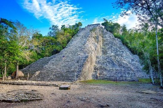 Cobá