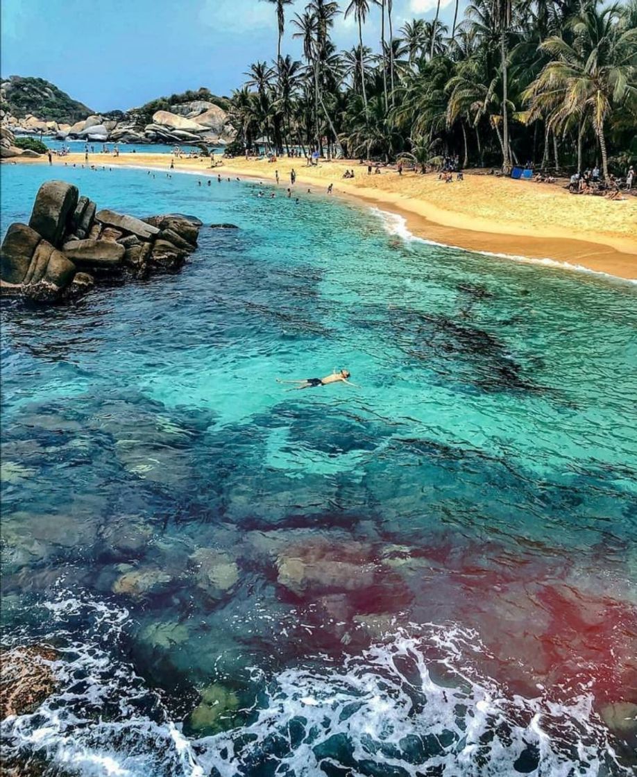 Social Parke nacional natural Tairona😍🇨🇴