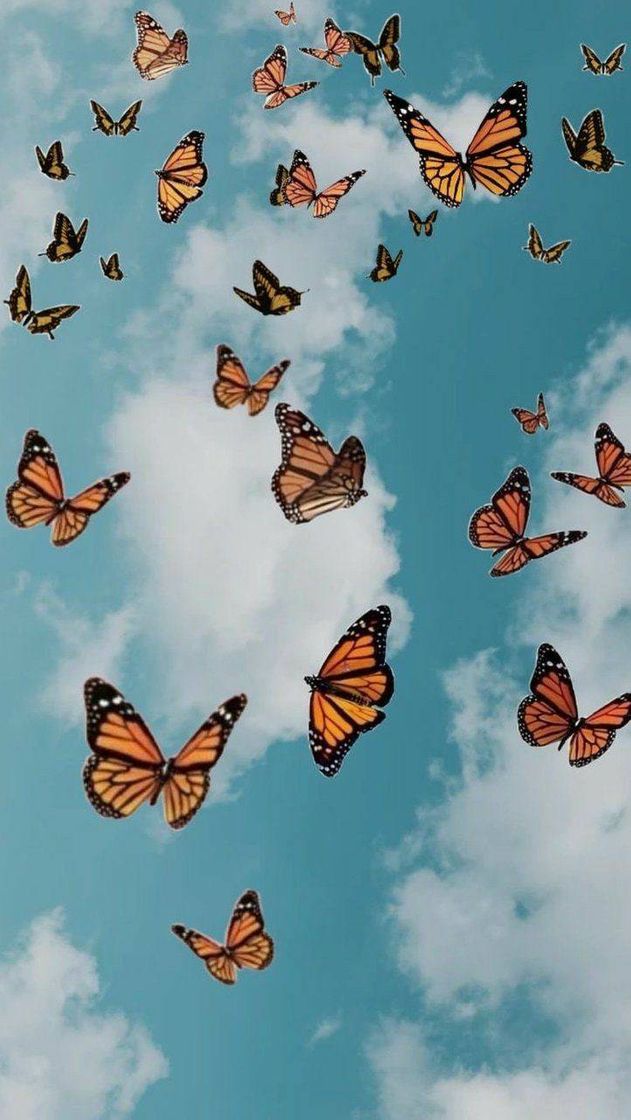 Fondo de pantalla de mariposas🦋