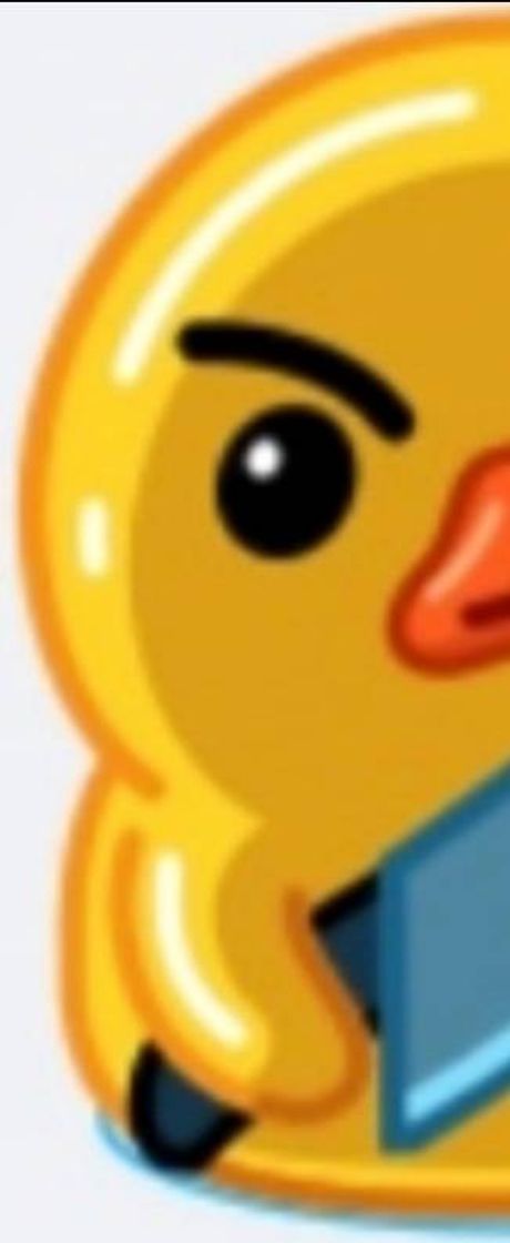 Social Portada