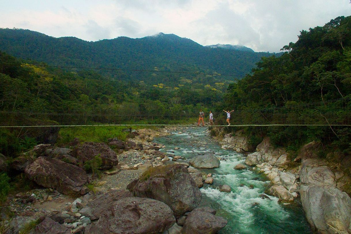 Place Parque Nacional Pico Bonito