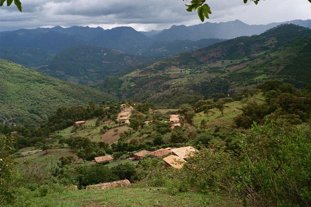Place Celaque National Park